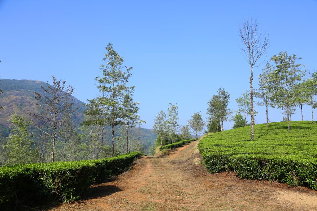Pavithram Homestay Munnar Eksteriør bilde