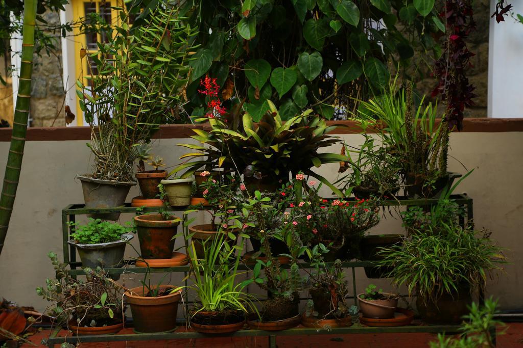 Pavithram Homestay Munnar Eksteriør bilde